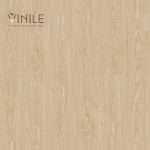 Vinile LVT Wood Series flooring, Product Code BV 1008, showcasing a realistic stone pattern