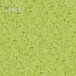 Homogeneous PVC flooring roll in Green tone color – T Class durable vinyl sheet for commercial and healthcare use.