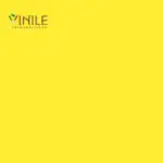 Homogeneous PVC flooring roll in Yellow tone color – T Class durable vinyl sheet for commercial and healthcare use.